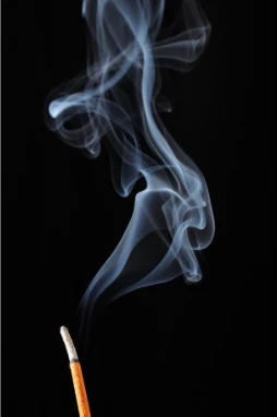 Incognito Vonné tyčinky Citronová tráva (10 ks) - Image 4