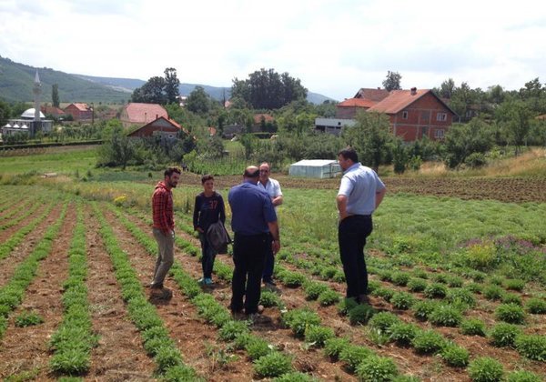 Sonnentor Kontryhel sypaný BIO (40 g) - Image 4